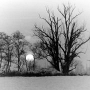 Winter im Luch bei Leegebruch (Foto: Hajo Eckert)