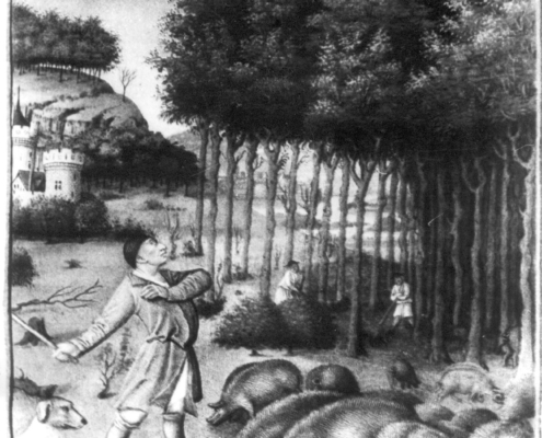 Herbstliche Waldmast der Schweine in einer mittelalterlichen Darstellung (Foto: Archiv der Hochschule für Nachhaltige Entwicklung Eberswalde)
