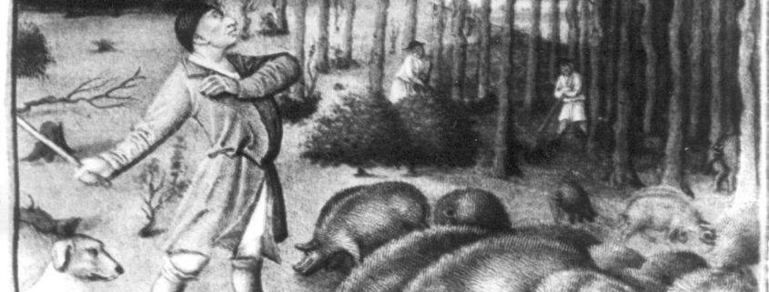 Herbstliche Waldmast der Schweine in einer mittelalterlichen Darstellung (Foto: Archiv der Hochschule für Nachhaltige Entwicklung Eberswalde)